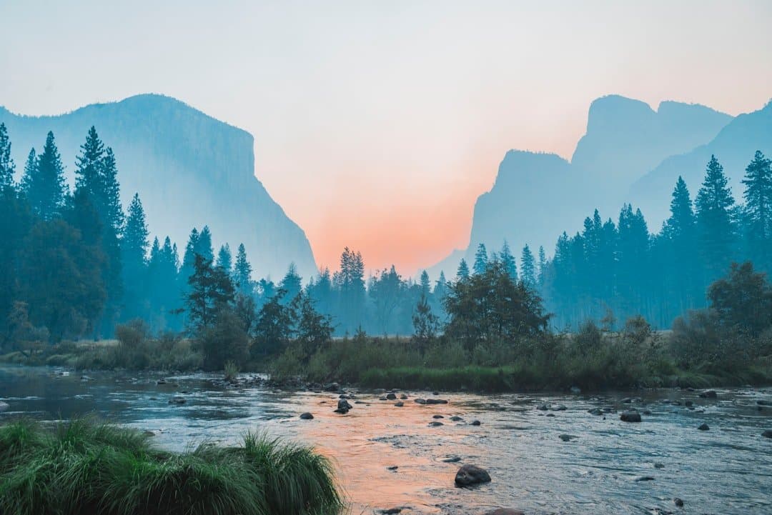 Rio calmo cercado por vegetação nativa preservada